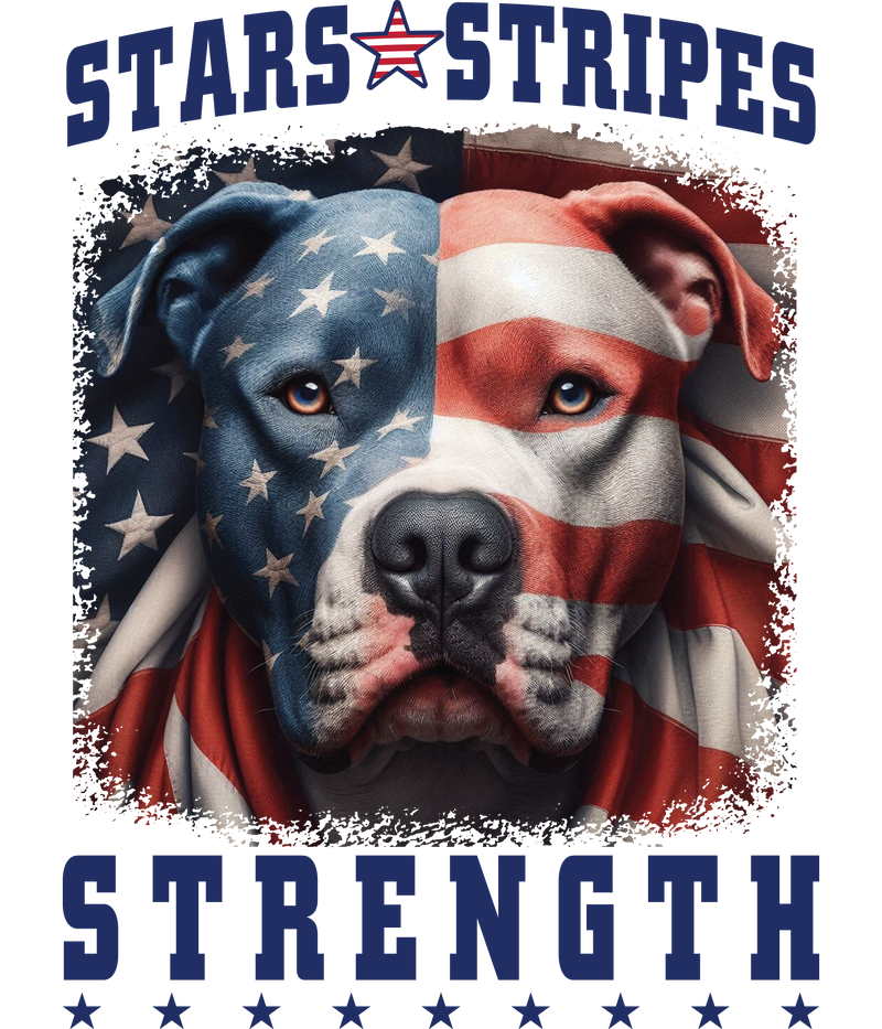 Stars, Stripes, and Strength T-Shirt